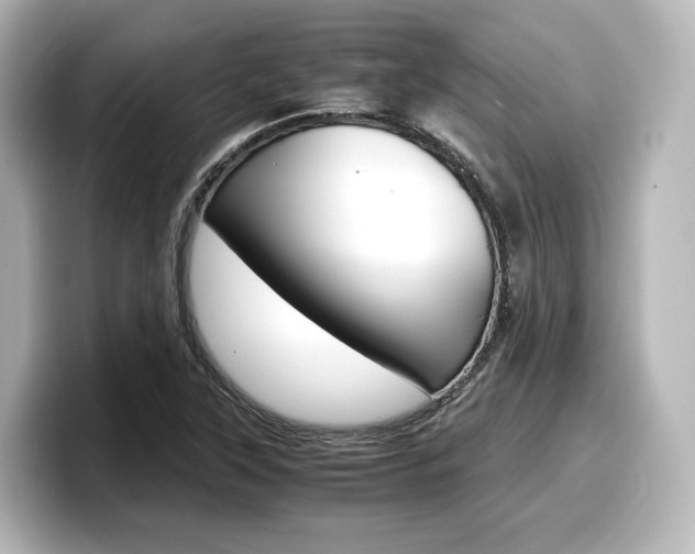X0000098191315200804241043