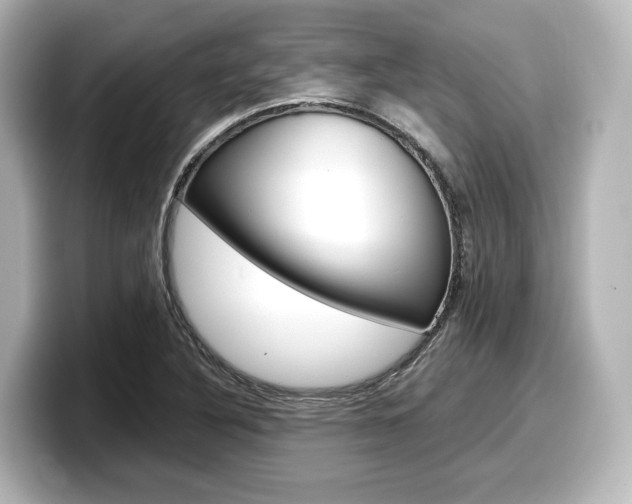 X0000098191316200804241043