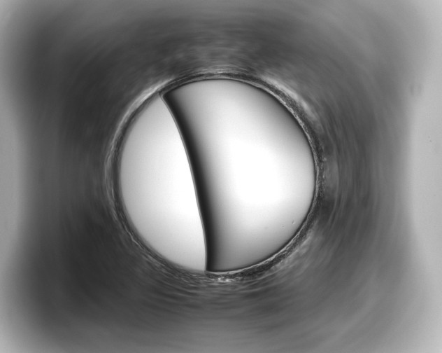 X0000098191317200804241043