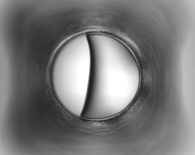 X0000098191318200804241043