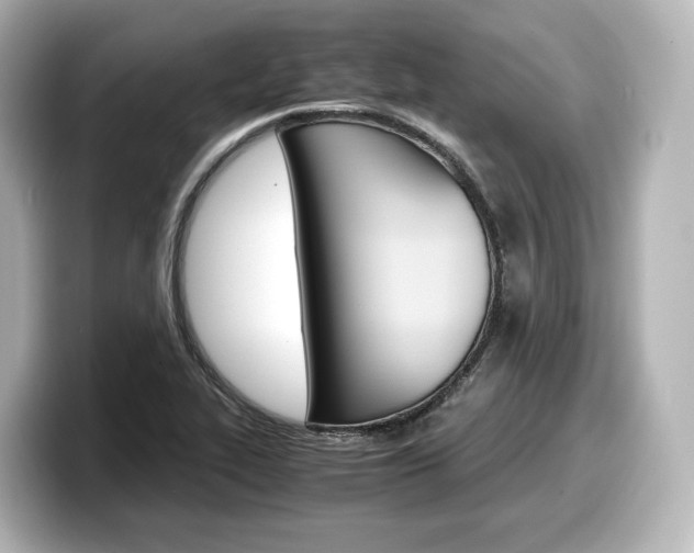 X0000098191319200804241043