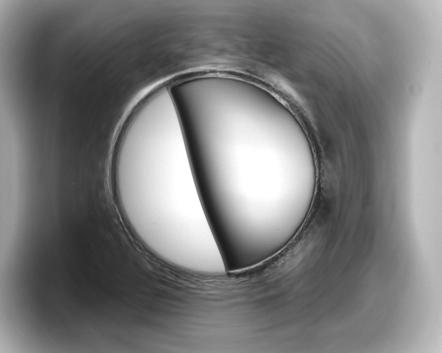 X0000098191320200804241043
