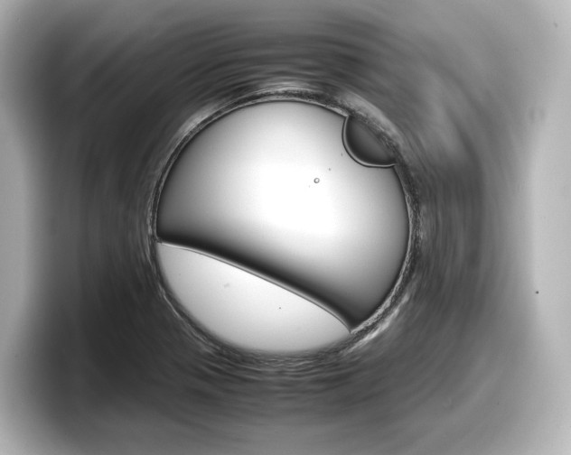X0000098191321200804241043