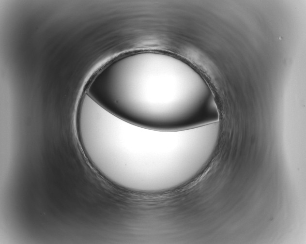 X0000098191328200804241043