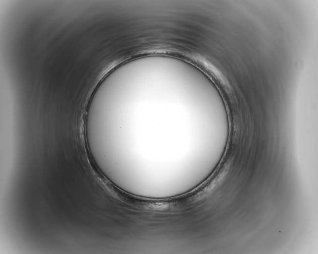 X0000098191329200804241043