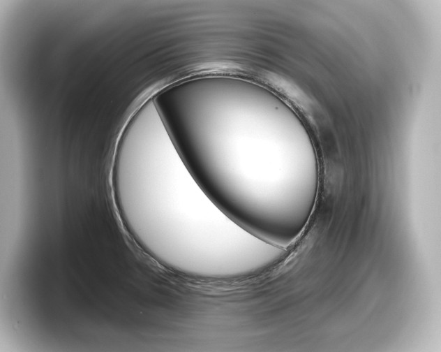 X0000098191330200804241043