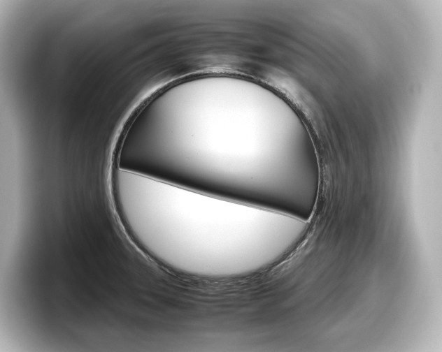 X0000098191331200804241043