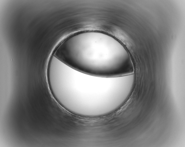 X0000098191334200804241043