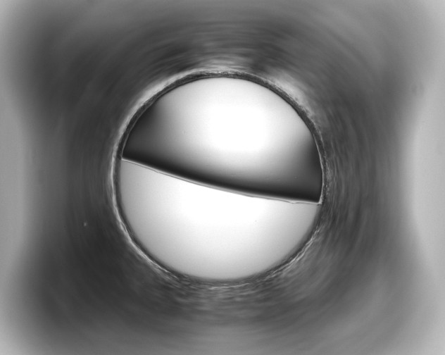 X0000098191335200804241043