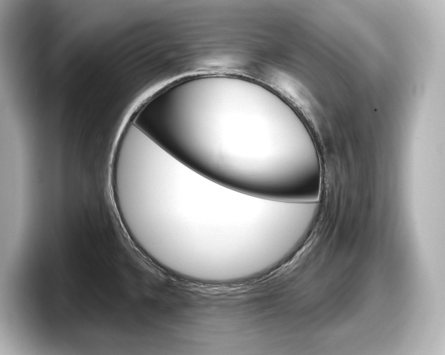 X0000098191336200804241043