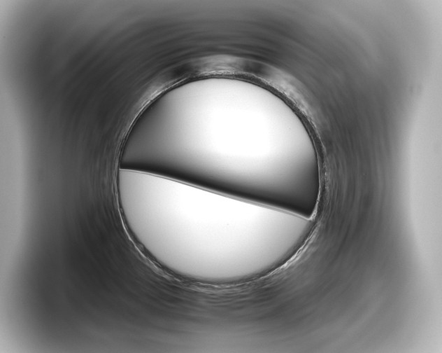 X0000098191337200804241043