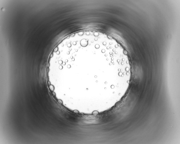 X0000098191338200804241043