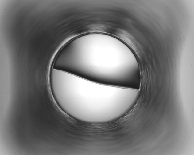 X0000098191339200804241043