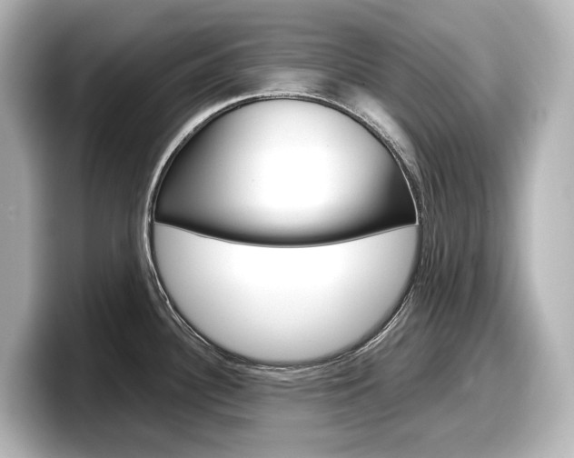 X0000098191340200804241043