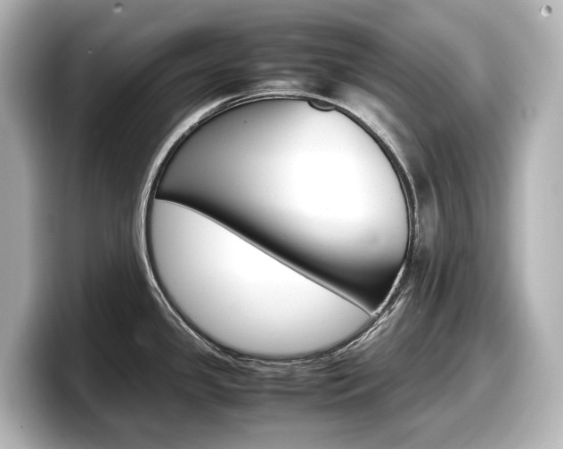 X0000098191341200804241043