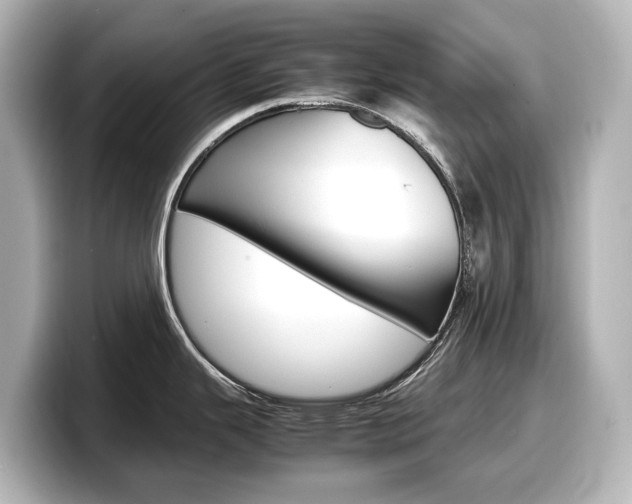 X0000098191343200804241043