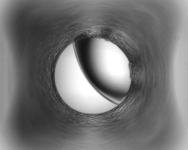 X0000098191345200804241042