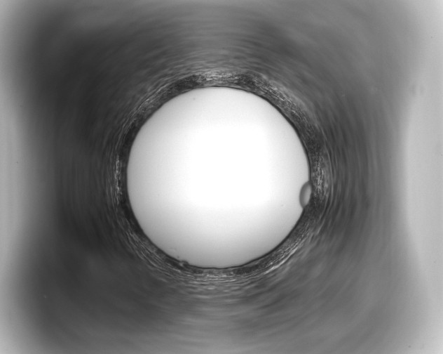 X0000098191346200804241042