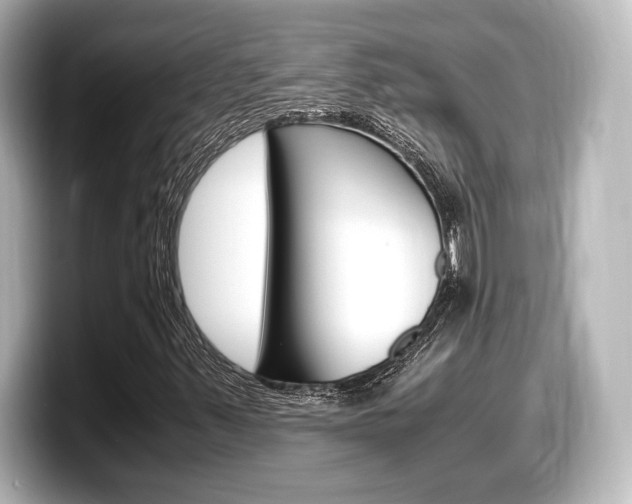 X0000098191347200804241042