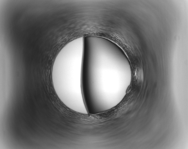 X0000098191348200804241042