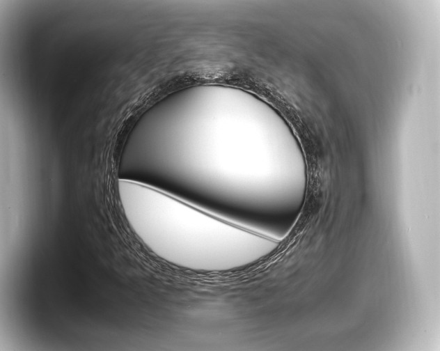 X0000098191349200804241042