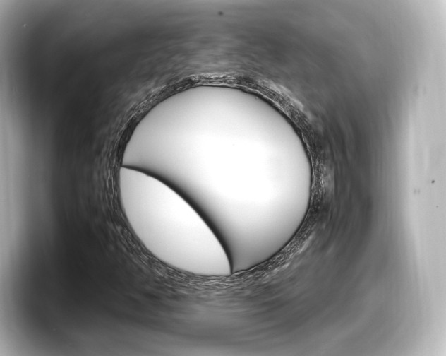 X0000098191350200804241042