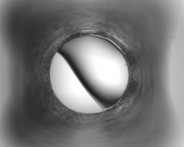 X0000098191351200804241042