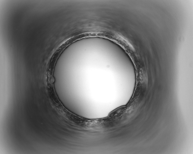 X0000098191352200804241042