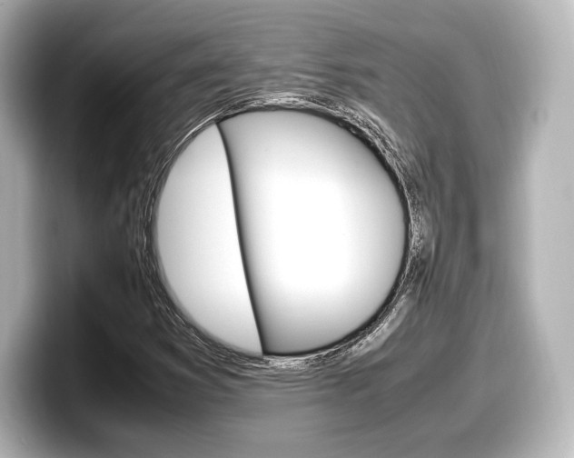 X0000098191353200804241042