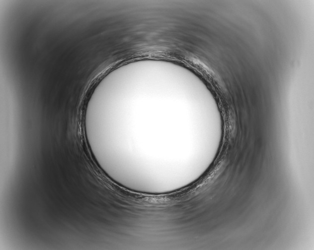 X0000098191354200804241042