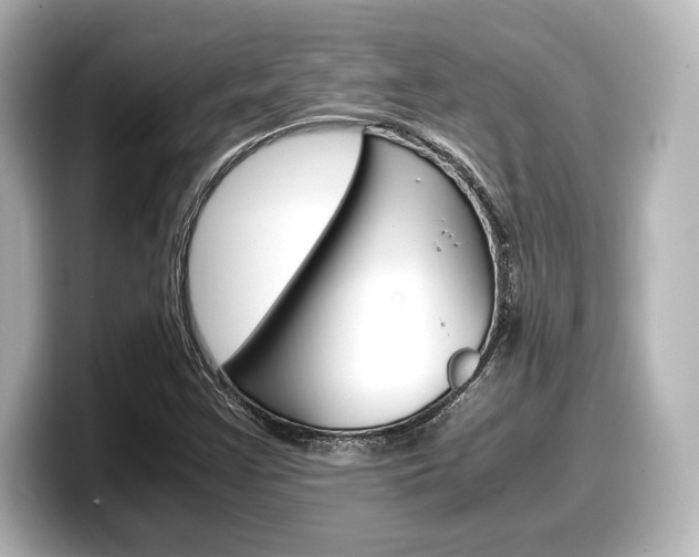 X0000098191355200804241042