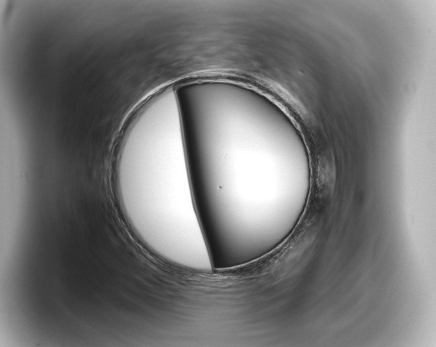 X0000098191356200804241042
