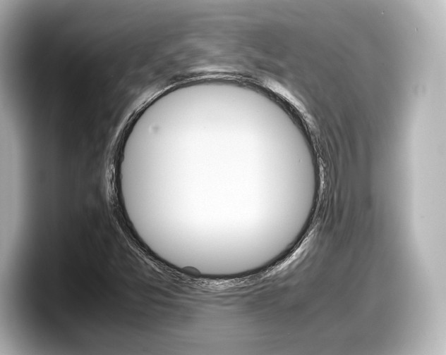 X0000098191357200804241042
