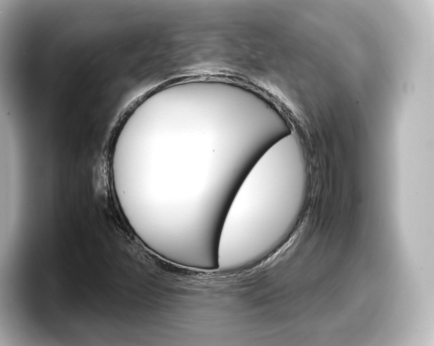 X0000098191358200804241042