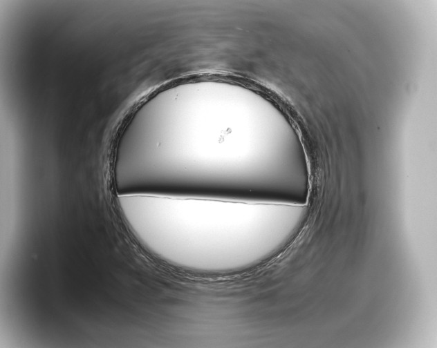 X0000098191359200804241042