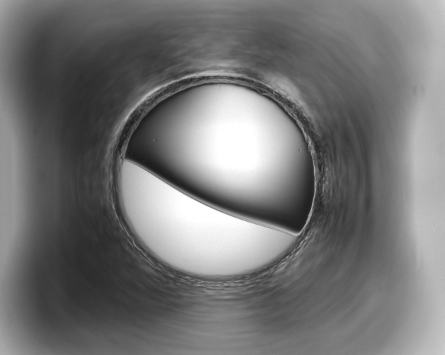 X0000098191360200804241042