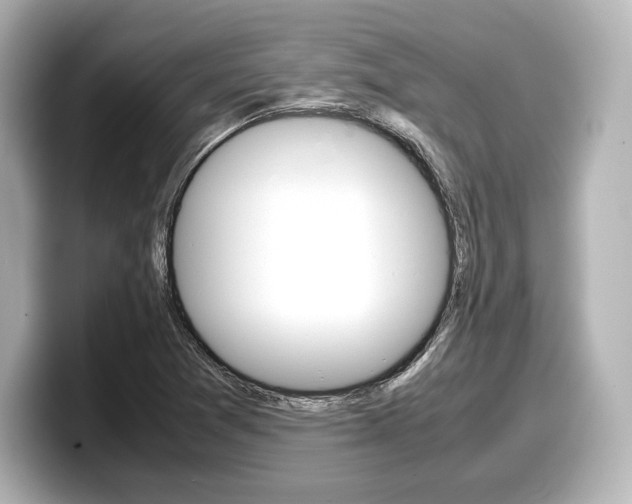 X0000098191361200804241042