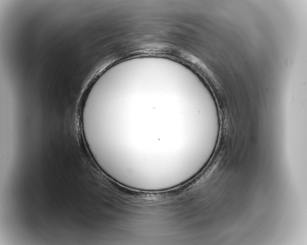 X0000098191362200804241042