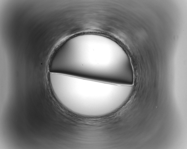 X0000098191363200804241042