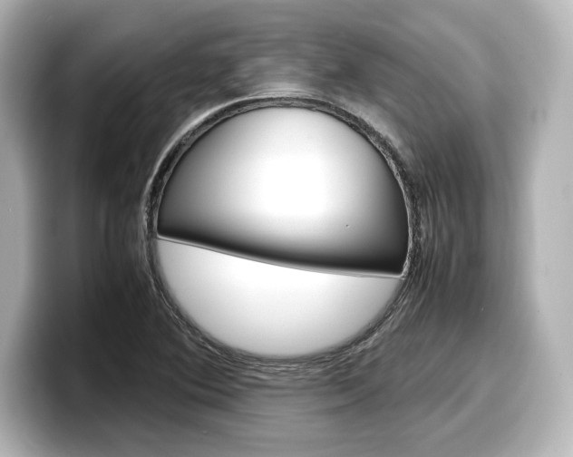 X0000098191364200804241042