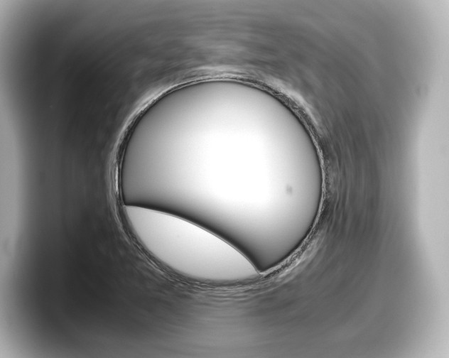 X0000098191365200804241042
