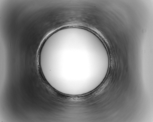 X0000098191366200804241042