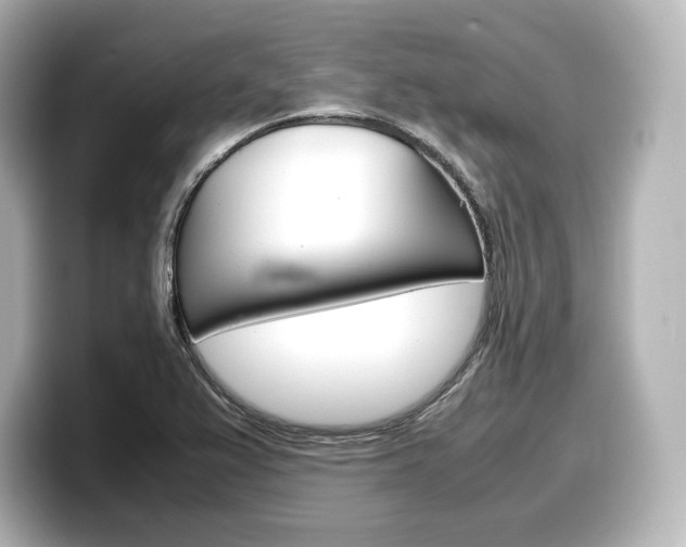 X0000098191367200804241042
