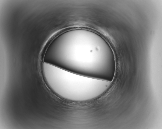 X0000098191368200804241042