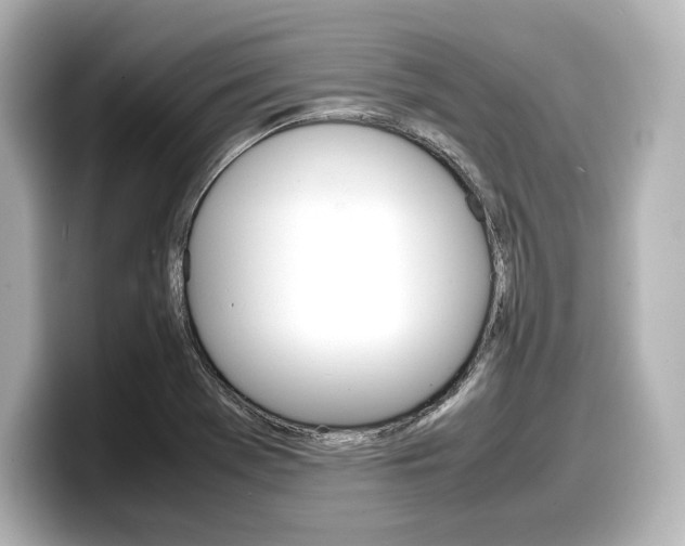 X0000098191369200804241042