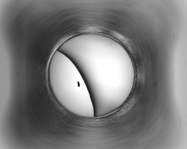 X0000098191370200804241042
