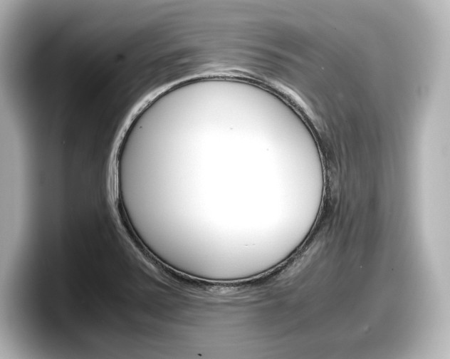 X0000098191371200804241042