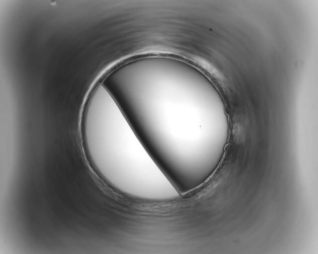X0000098191372200804241042
