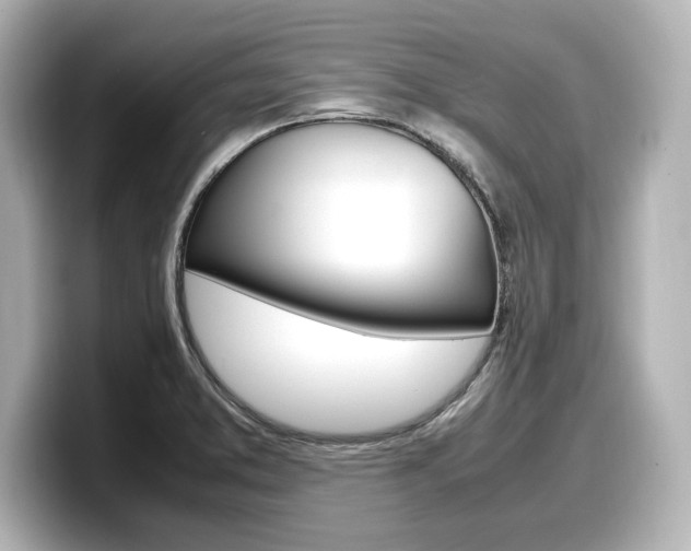 X0000098191373200804241042
