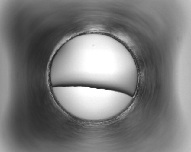 X0000098191374200804241042